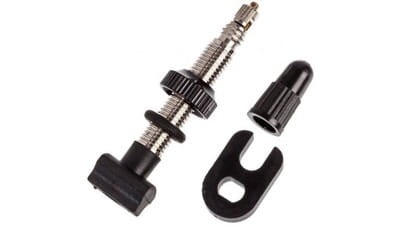 Zawór DTswiss Tubeless do felg 23mm-10926