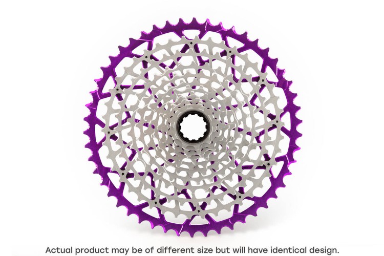image (1).jpg