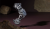 Aufnahme17.png