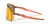 obraz_2021-07-16_163526.png