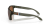 obraz_2021-08-19_165312.png