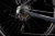 531051Z_D4.webp