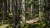 M_700_56409_616050_M_00.jpg