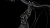 D_222_77816_648100_D_22.jpg
