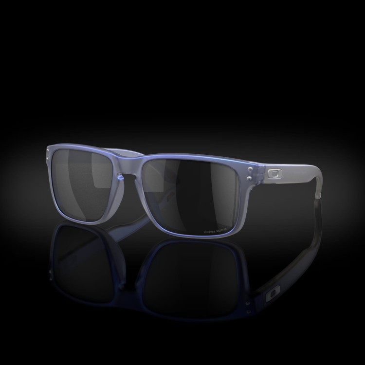 Okulary OAKLEY HOLBROOK MtBlkStynPri OO9102-X855-33931