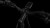 731252_D_01.jpg