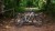 736110_O_00.jpg