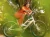 BaliCruiserGoStepThru_22_35213_A_Accessory1.webp