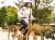 TownieCommuteGo5IStepThru_22_34901_D_Accessory1.webp