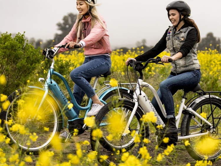 TowniePathGo5iStepThru_20_29099_E_Accessory2.jpg