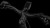 synqup_731211_D_01.jpg