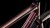 synqup_829510_D_00.jpg