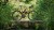 synqup_830200_O_00.jpg