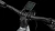 735330_D2.webp