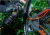 bicycle.PNG