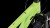 synqup_840110_D_00.jpg