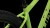 synqup_840110_D_02.jpg