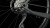 778050_D7.jpg