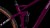 synqup_835210_D_03.jpg