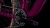 synqup_835210_D_04.jpg