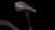 synqup_856200_D_04.jpg