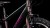 synqup_851200_D_04.jpg