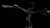 synqup_812202_D_01.jpg