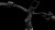 synqup_812200_D_00.jpg