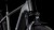 synqup_812200_D_04.jpg
