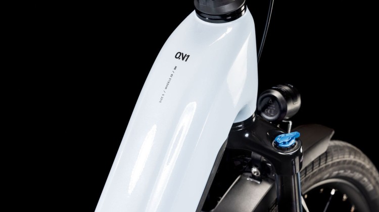 synqup_812112_D_00.jpg