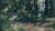 synqup_801500_O_00.jpg