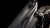 synqup_801330_D_00.jpg