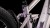 synqup_801320_D_02.jpg