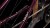 synqup_801140_D_01.jpg