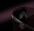 OO9235-1739-4.JPG