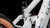 synqup_802150_D_01.jpg