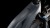 synqup_812101_D_00.jpg