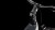 synqup_812101_D_02.jpg