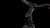 synqup_812102_D_01.jpg