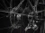FXPlus2_23_35842_A_Alt2.webp