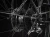 FXPlus2Stagger_23_35843_A_Alt2.webp