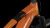 635173_D_00.webp