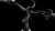 synqup_812402_D_01.jpg
