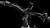 synqup_812401_D_01.jpg