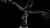 synqup_812400_D_01.jpg