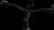 synqup_811202_D_02.jpg