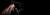 bg_macina_prowler_exonic_xx_t-type_option_1.jpg