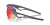 0OO9499__949906__P21__shad__lt.png