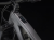 FuelEXe5US-24-411313226-A-Portrait.png
