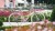 synqup_864120_O_00.jpg